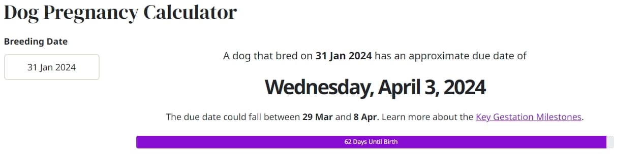 Screenshot of the dog pregnancy calculator from TheCalculatorKing.com